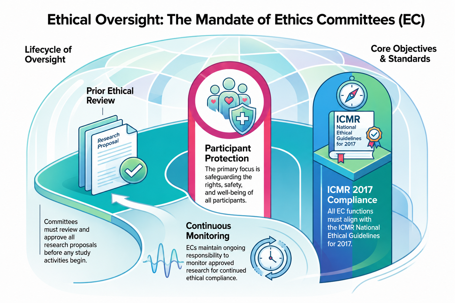 The Hidden Guardians of Medical Progress: What Really Happens Behind the Scenes of Health Research